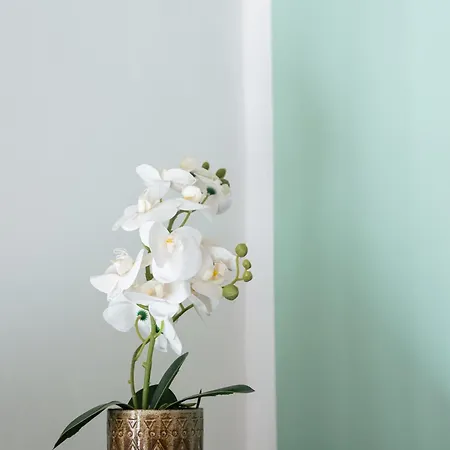 Urban Nest Appartement